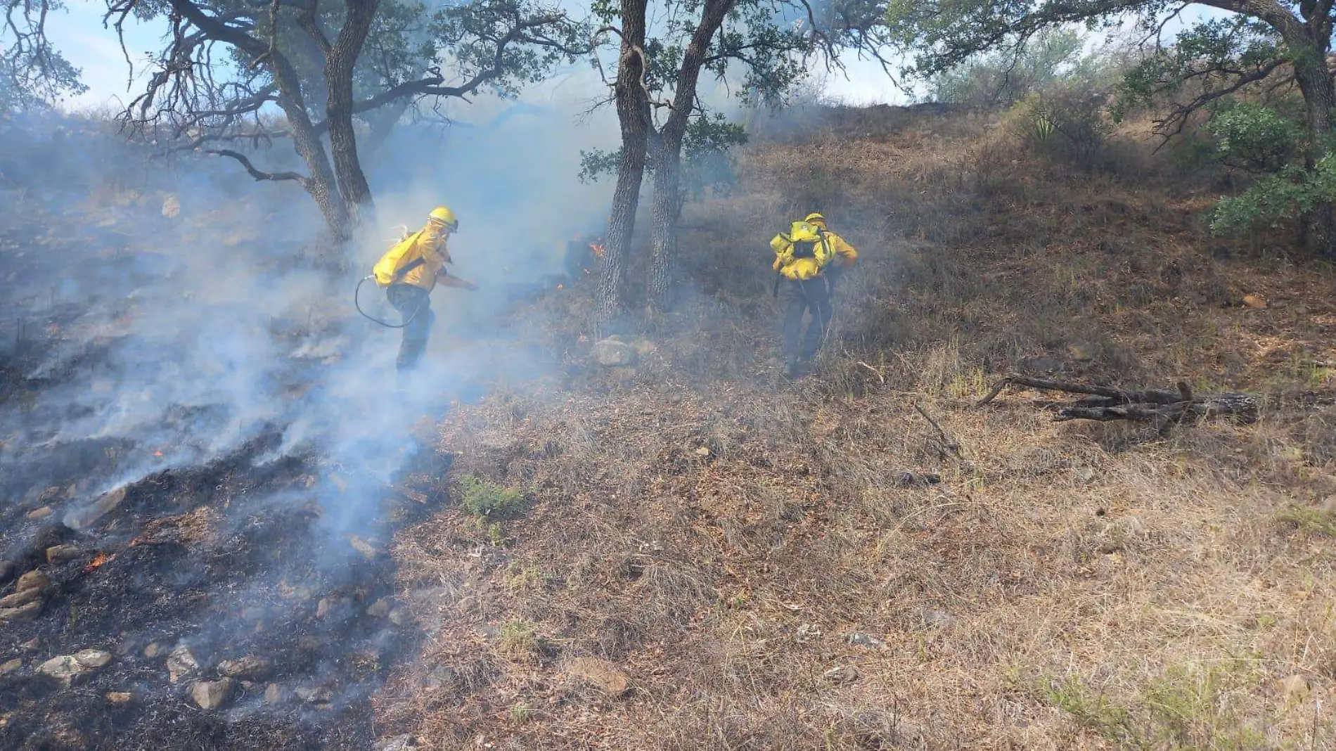 iincendio foto conafor - copia